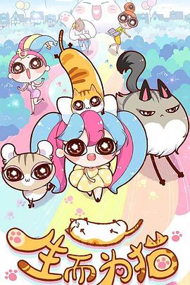 优化教程网站推广排名